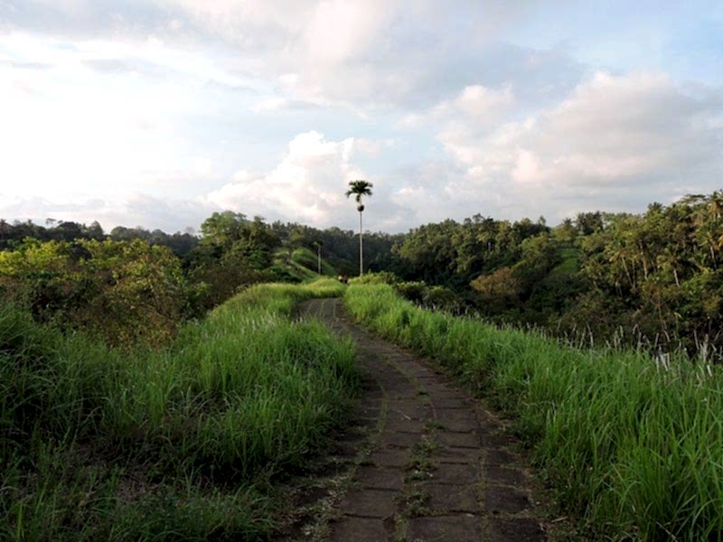 Ubud Gezilecek Yerler
